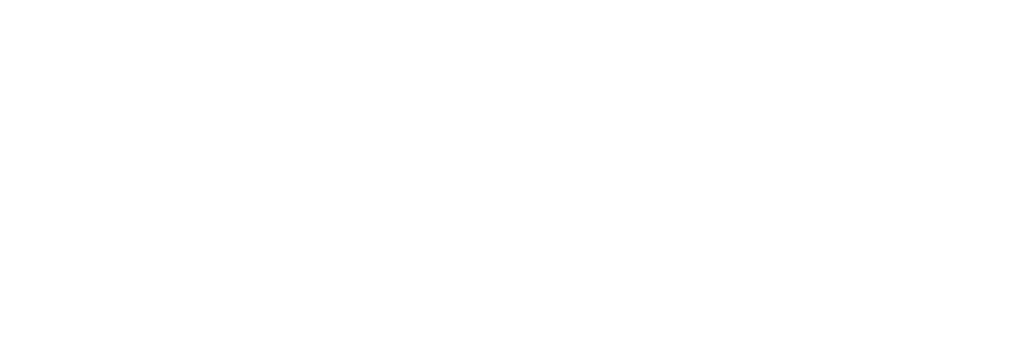 MAPU_LOGO