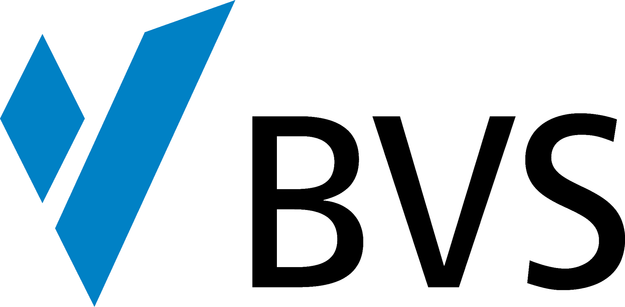 bvs-logo-(1)-1