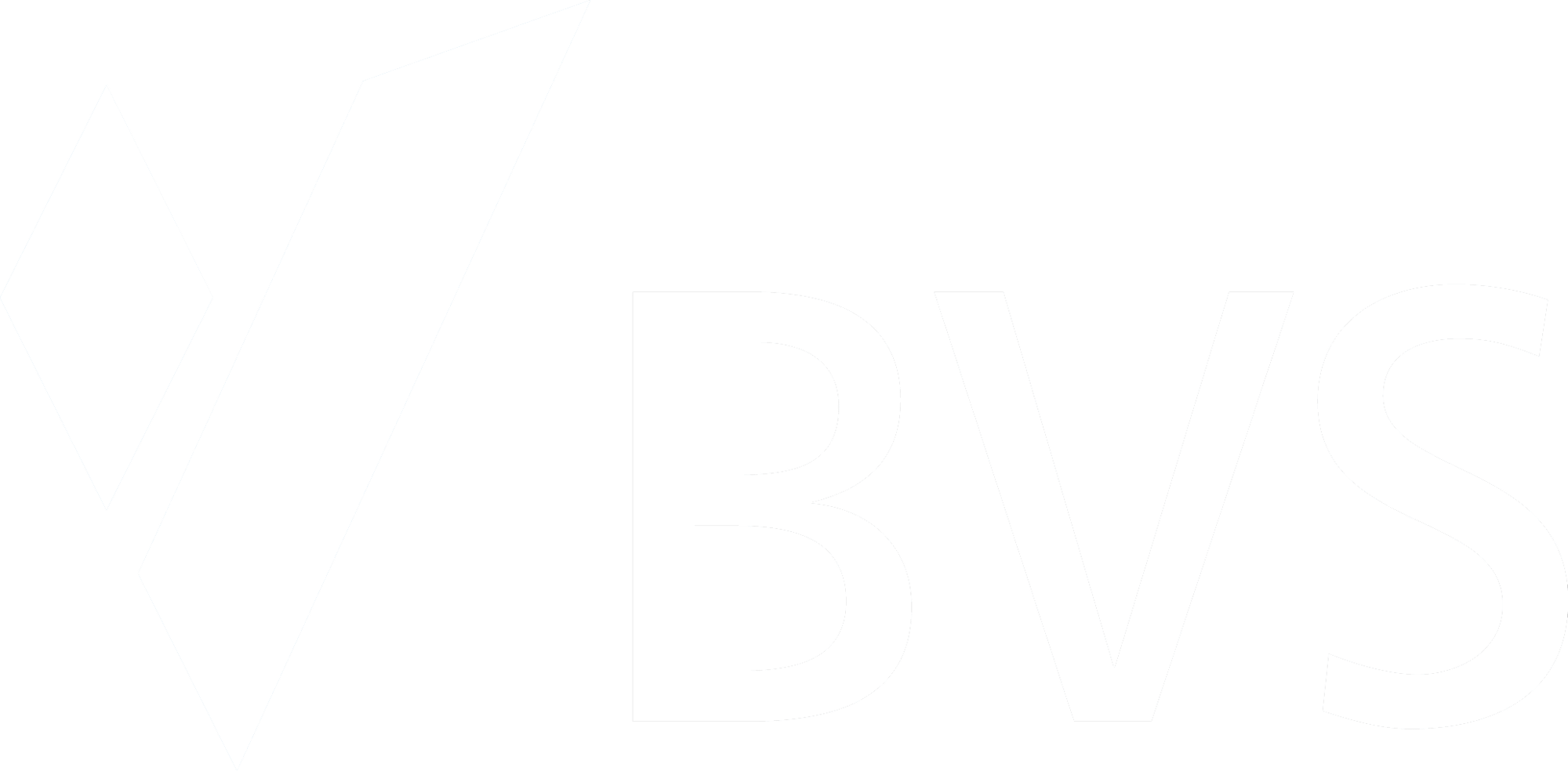 bvs-logo_1