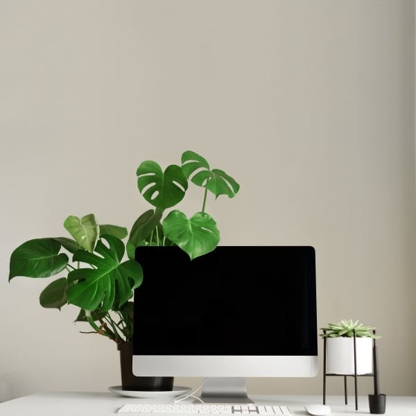 keyboard-mouse-computer-display-with-black-blank-2026-01-05-05-01-25-utc-1